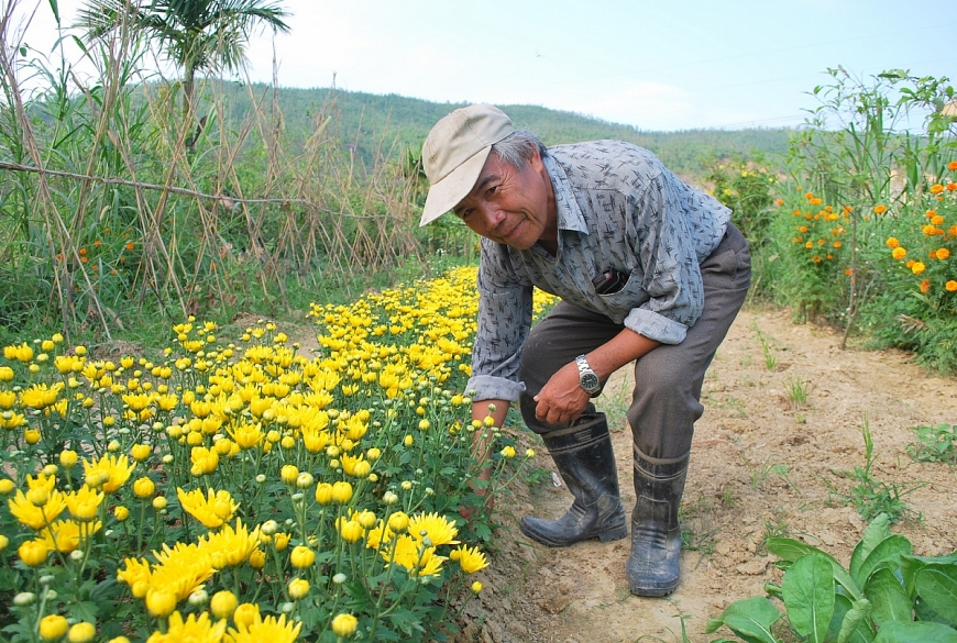 “Già làng” Trần Phước Hoàng trong “Ngày hội Đại đoàn kết toàn dân tộc năm 2019” của thôn Phước Thuận Phước Hậu. - Già làng Trần Phước Hoàng (tóc bạc, áo xanh) đứng giữa cổ vũ cho trời chơi kéo co. - Già làng Trần Phước Hoàng chăm sóc hoa.