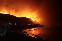 PacificPalisades vegetarisch latimes.gif