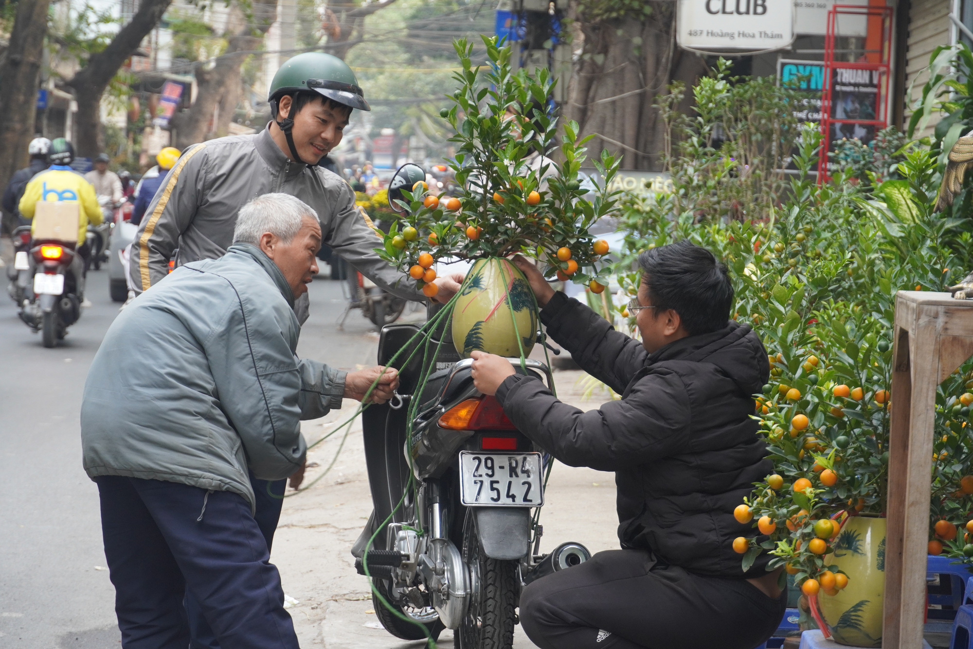 Cúc mâm xôi Sa Đéc tràn phố phường Hà Nội, giá hấp dẫn - Ảnh 6.