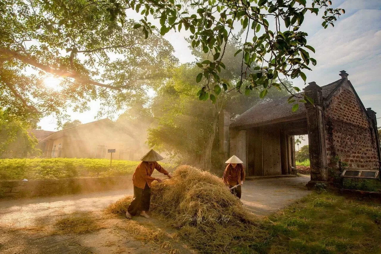 Làng cổ Đường Lâm: Nơi lưu giữ nét văn hóa đồng bằng Bắc Bộ