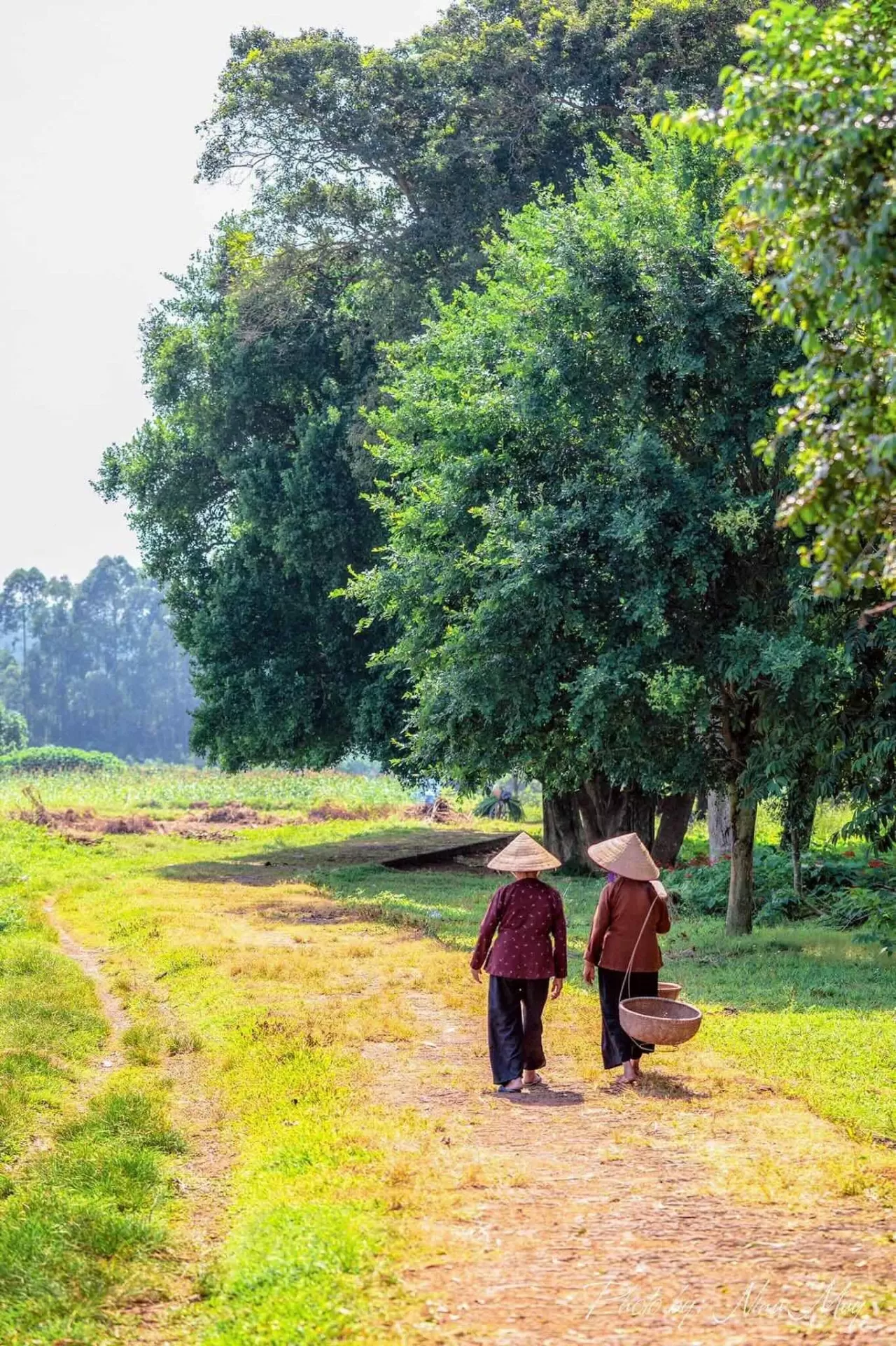 Làng cổ Đường Lâm: Nơi lưu giữ nét văn hóa đồng bằng Bắc Bộ