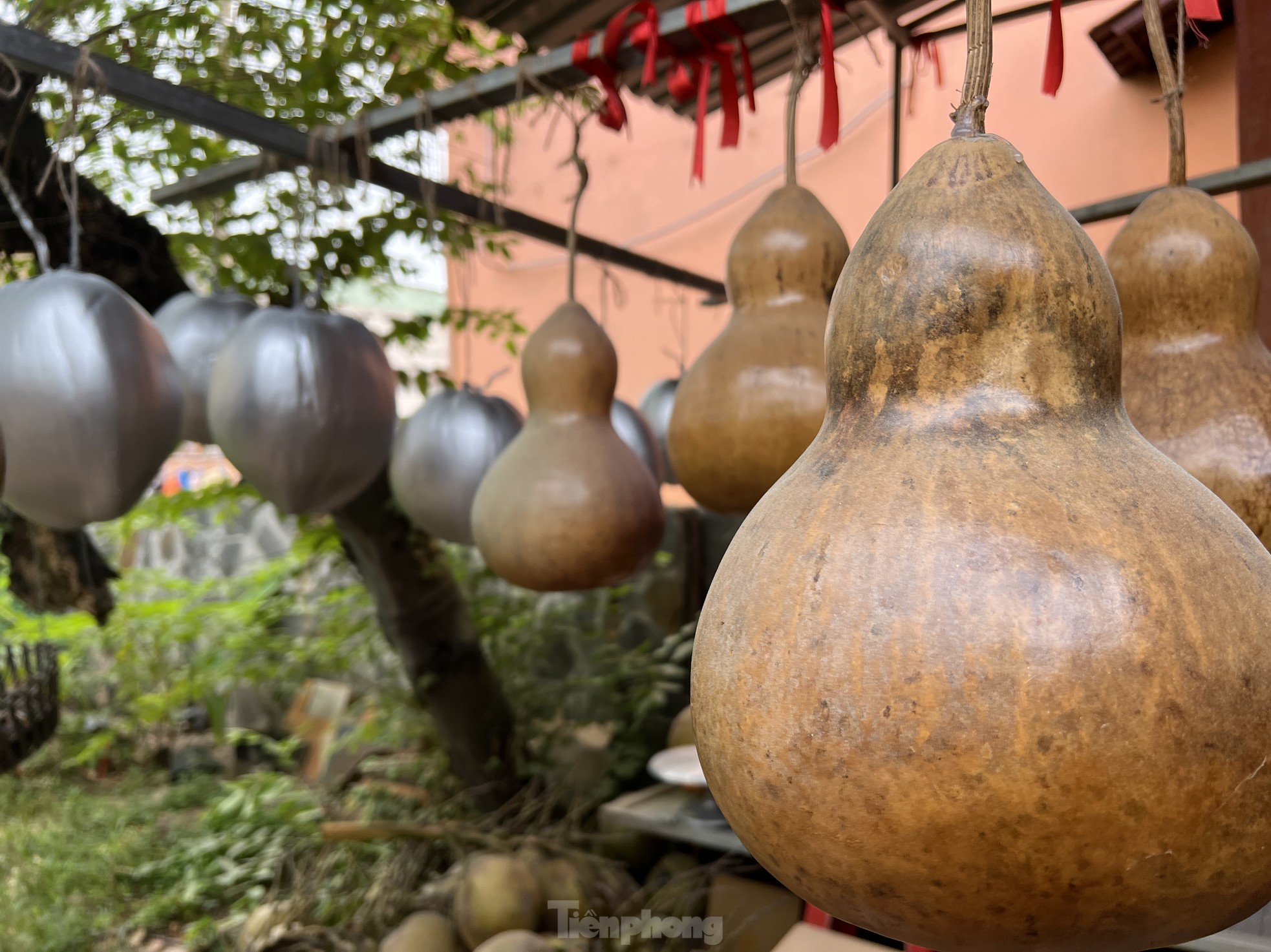 Mặt hàng Tết mà người sản xuất đã dừng nhận đơn hàng cả tháng vì… làm không xuể ảnh 3