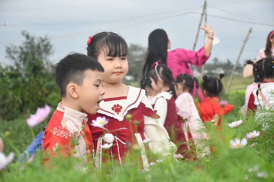 Mở cửa đón khách trước thềm Tết Nguyên đán Ất Tỵ 2025, cánh đồng hoa Nghĩa Hà trở thành điểm đến của du khách gần xa.