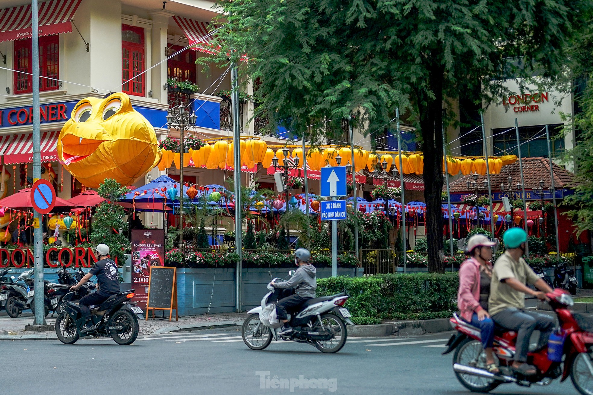 Đường phố TPHCM rực rỡ ngập tràn sắc xuân ảnh 2