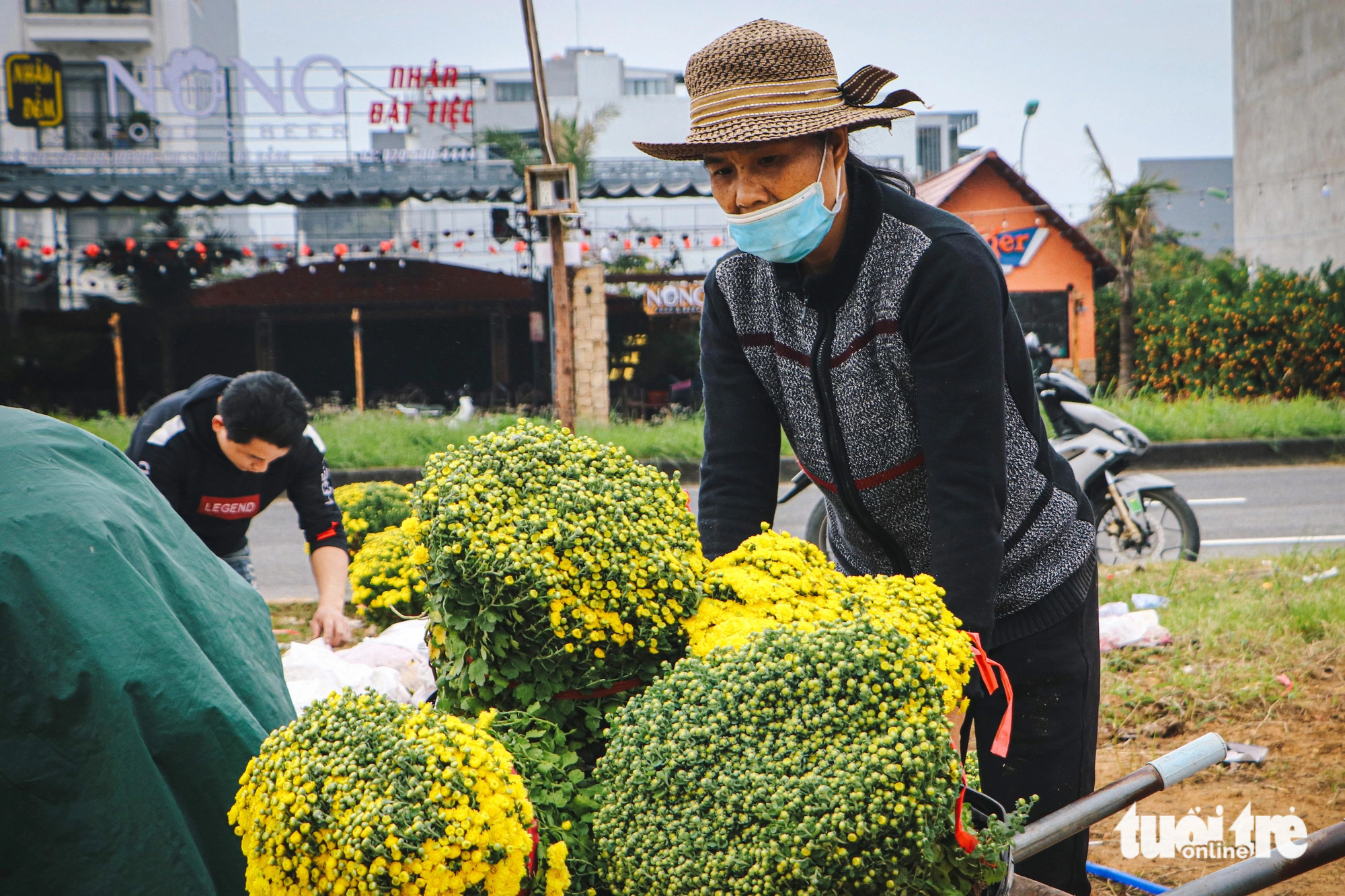 Đà Nẵng: Hoa Tết rực rỡ xuống phố, giá bình ổn - Ảnh 2.