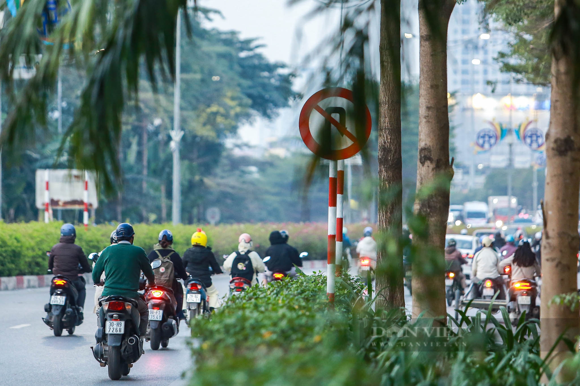 Nhiều biển báo, đèn giao thông ở Hà Nội bị che khuất, gây khó khăn cho người tham gia giao thông - Ảnh 10.