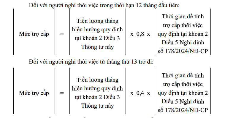 Cách tính hưởng chính sách nghỉ thôi việc đối với cán bộ, công chức- Ảnh 3.