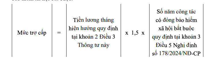 Cách tính hưởng chính sách nghỉ thôi việc đối với cán bộ, công chức- Ảnh 4.