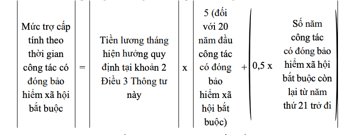 Cách tính hưởng trợ cấp đối với người nghỉ hưu trước tuổi khi tinh gọn bộ máy- Ảnh 7.