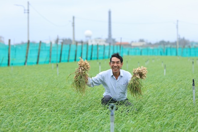 Tỏi Lý Sơn mang đến lợi ích kinh tế thiết thực, góp phần cải thiện đời sống cho bà con nông dân.