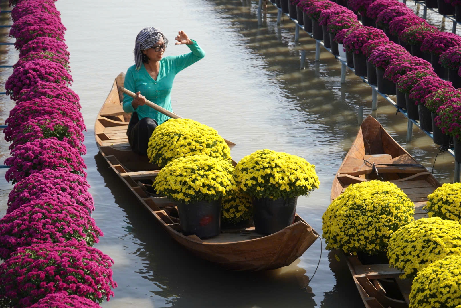 Lạ mắt nhìn loại hoa cúc vô số màu rực rỡ tại làng hoa Sa Đéc những ngày gần Tết Âm lịch- Ảnh 2.