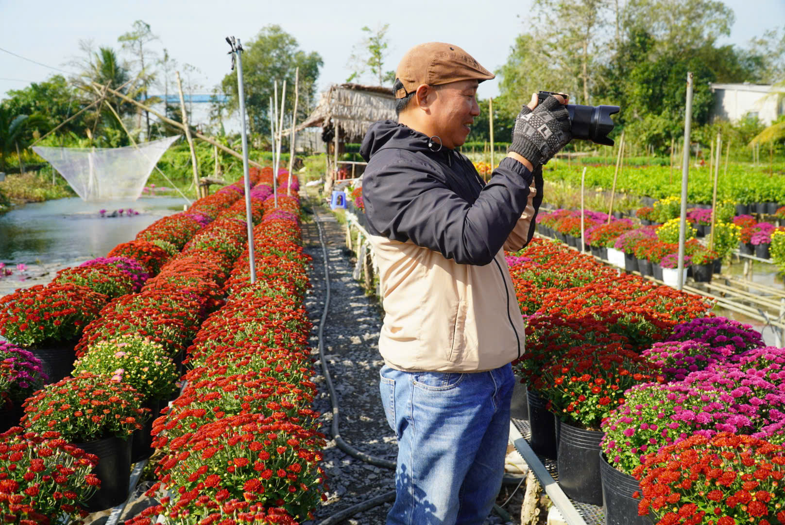 Lạ mắt nhìn loại hoa cúc vô số màu rực rỡ tại làng hoa Sa Đéc những ngày gần Tết Âm lịch- Ảnh 5.