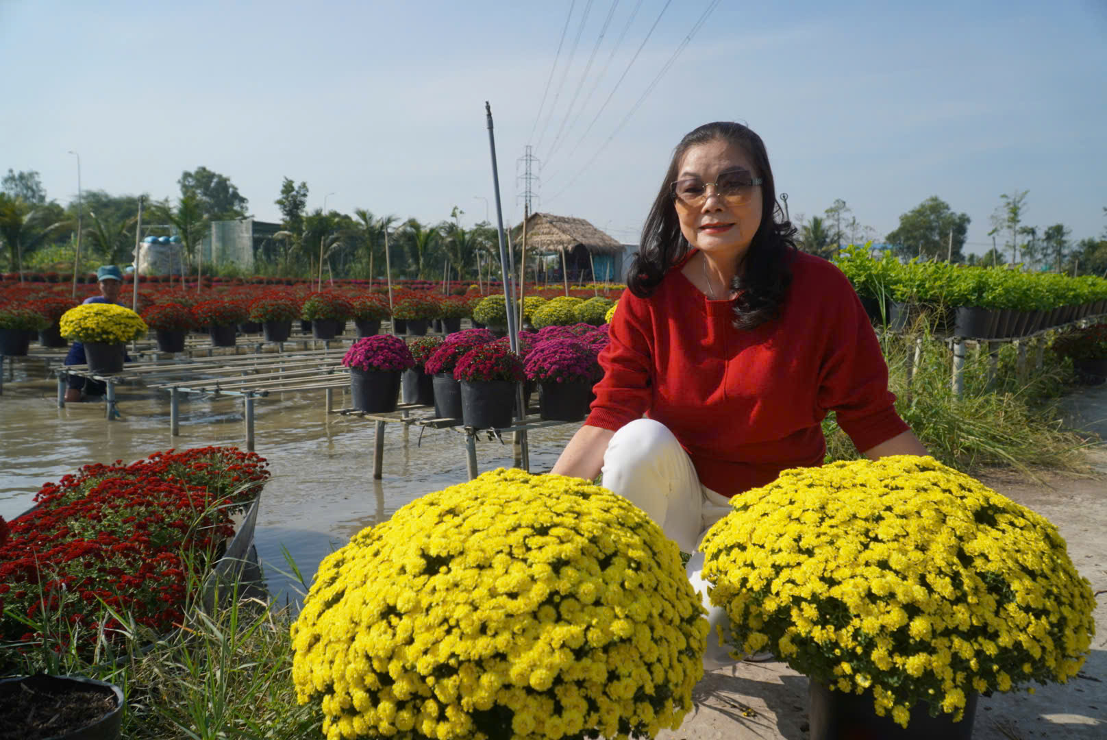 Lạ mắt nhìn loại hoa cúc vô số màu rực rỡ tại làng hoa Sa Đéc những ngày gần Tết Âm lịch- Ảnh 7.