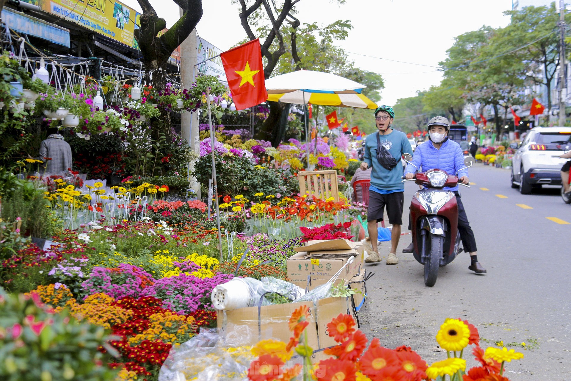 Rộn ràng không khí xuân ở chợ hoa Đà Nẵng ảnh 6