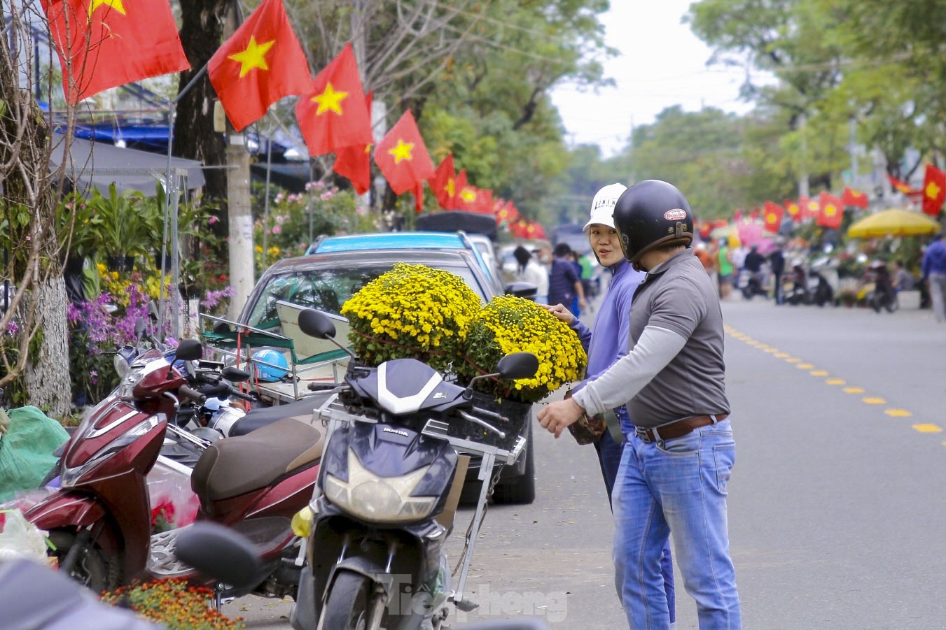 Rộn ràng không khí xuân ở chợ hoa Đà Nẵng ảnh 19