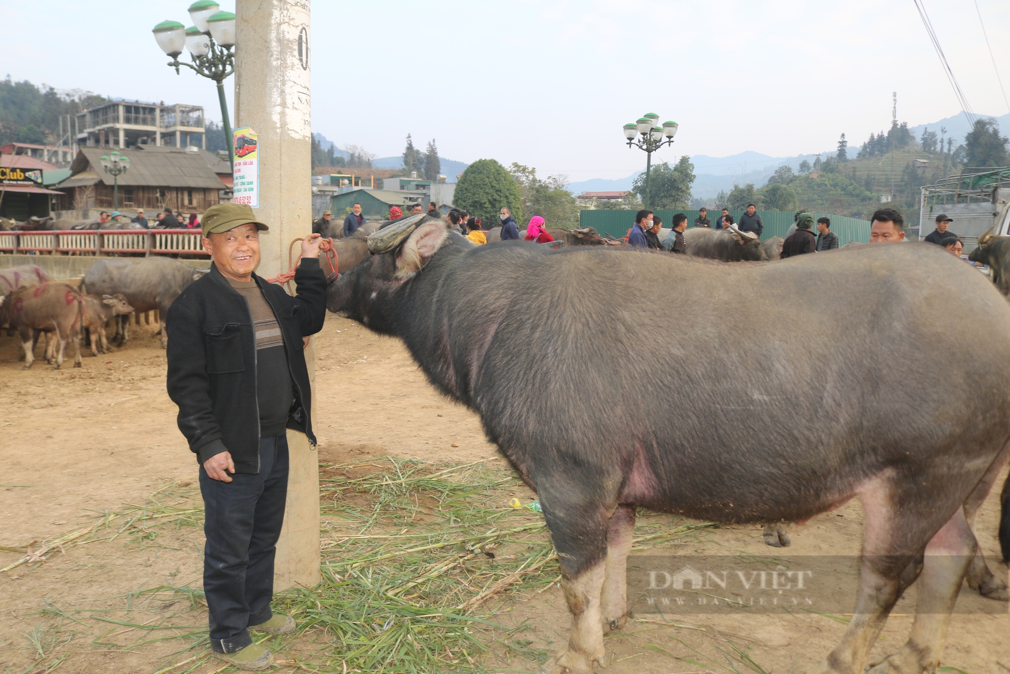 Chợ gia súc Bắc Hà 