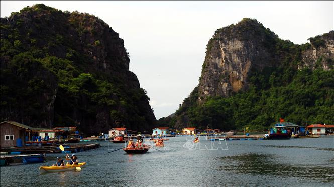 Một làng chài ở Vịnh Hạ Long của Quảng Ninh, toàn núi đá, la liệt cá ngon, con động vật đẻ ra ngọc- Ảnh 2.