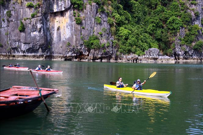 Một làng chài ở Vịnh Hạ Long của Quảng Ninh, toàn núi đá, la liệt cá ngon, con động vật đẻ ra ngọc- Ảnh 3.