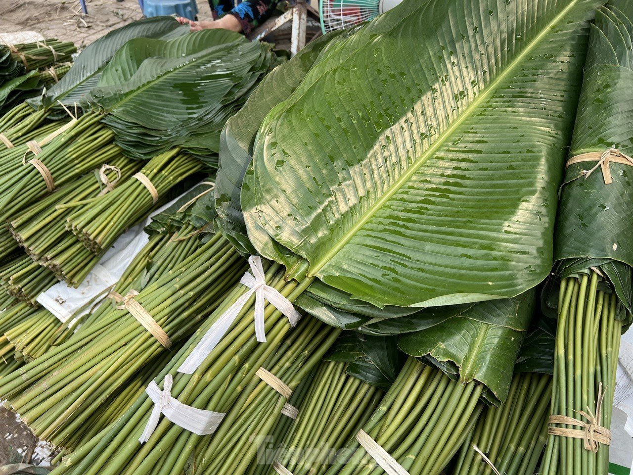 Chợ lá dong 'vang bóng một thời' ở TPHCM ế ẩm, tiểu thương thở dài ảnh 2