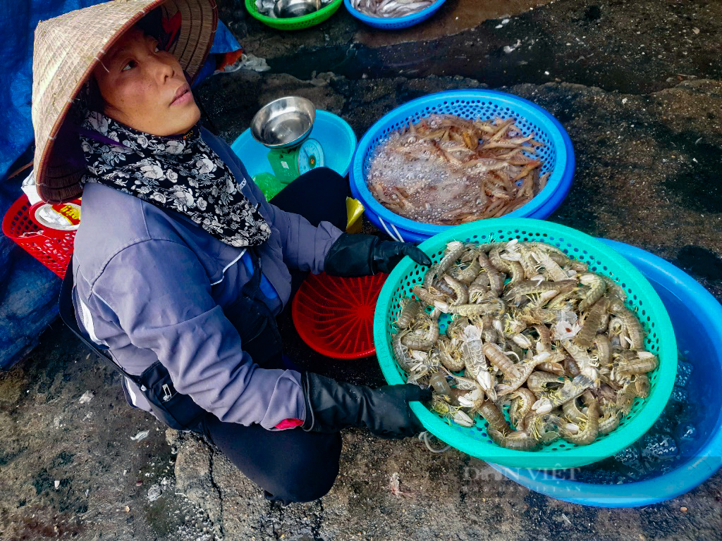 Quảng Ninh: Đi săn đặc sản giá rẻ bất ngờ tại chợ Hạ Long những ngày giáp tết - Ảnh 7.