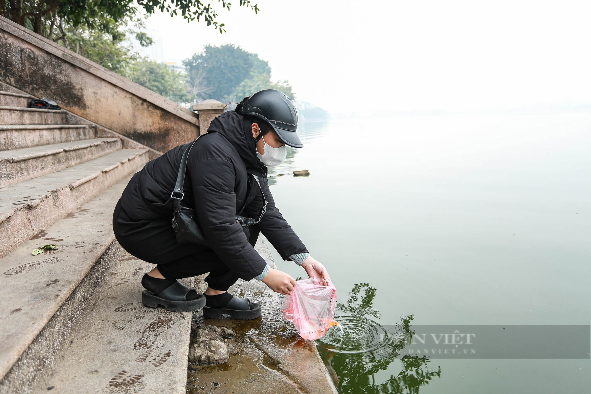 Chi nửa triệu đồng mua cá chép tiễn ông Công, ông Táo về trời tại Hà Nội- Ảnh 5.