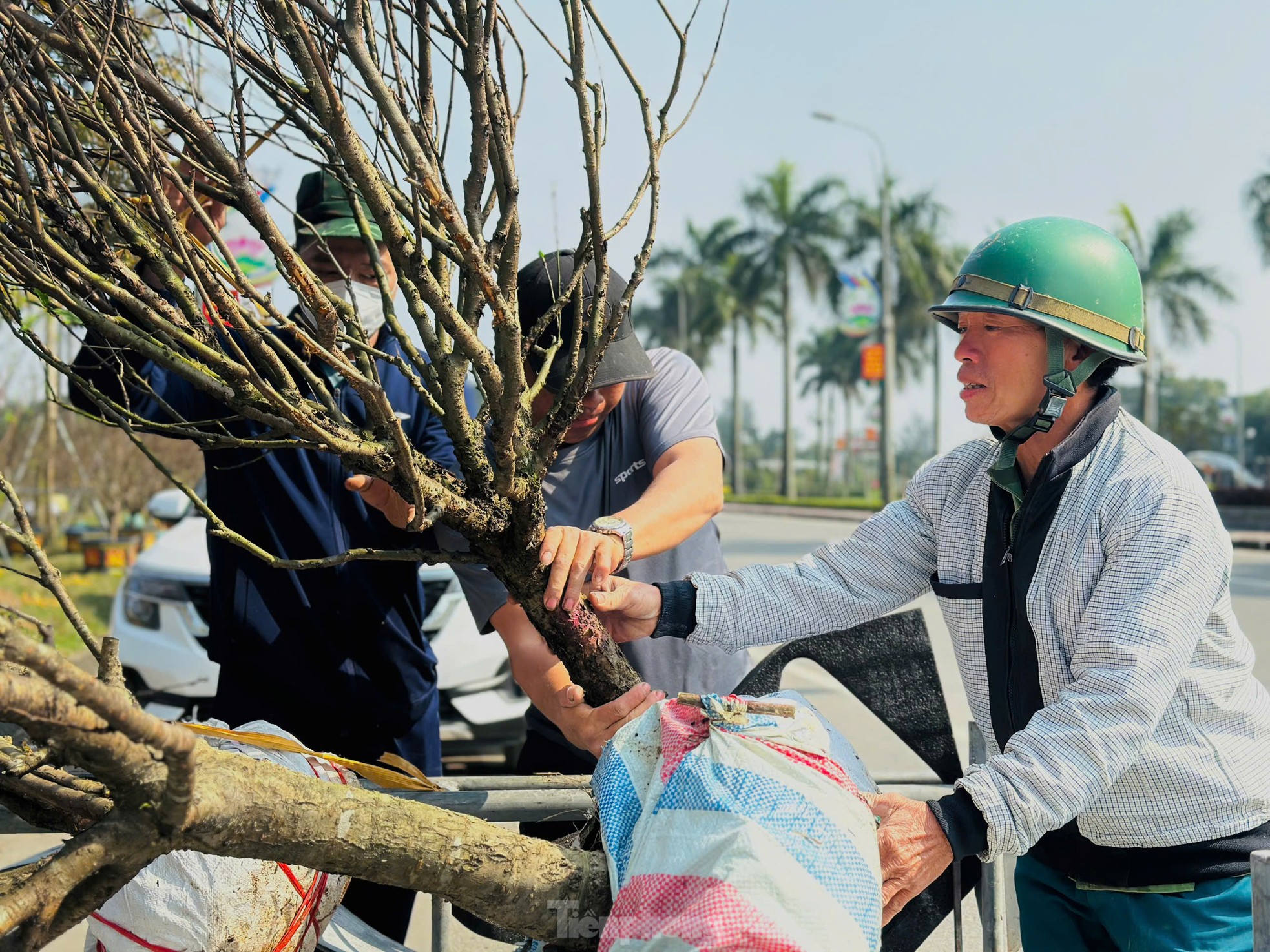 Nghề 'chở Tết' đến mọi nhà kiếm tiền triệu mỗi ngày ảnh 2