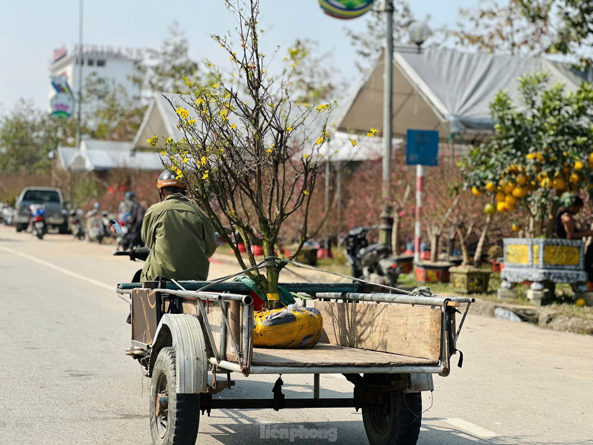 Nghề 'chở Tết' đến mọi nhà kiếm tiền triệu mỗi ngày ảnh 5