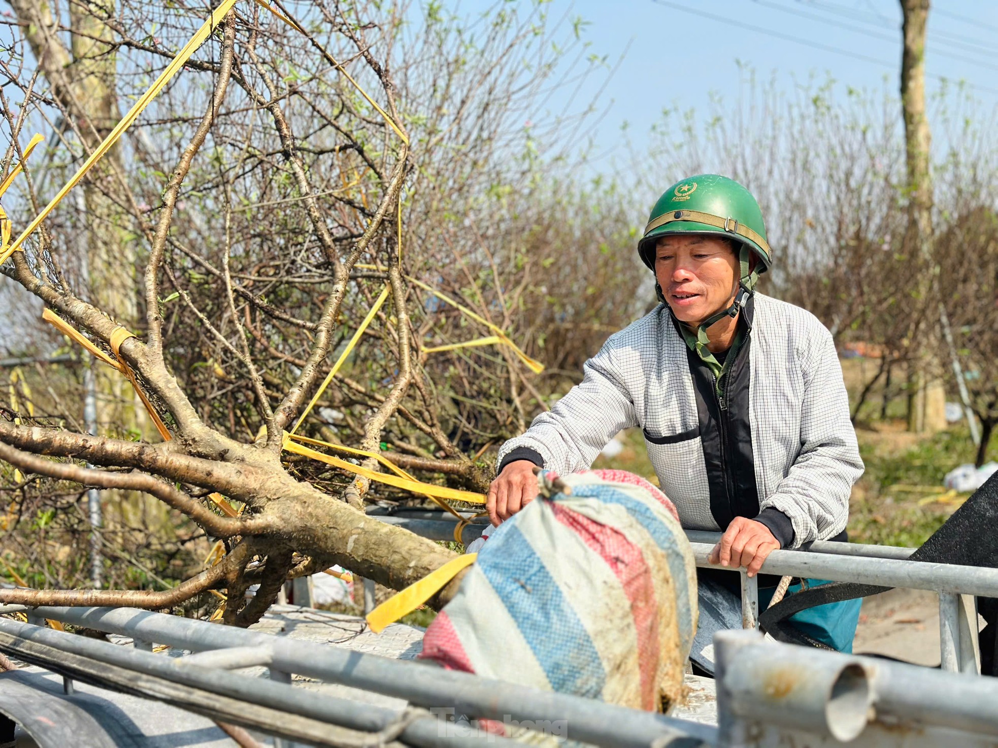 Nghề 'chở Tết' đến mọi nhà kiếm tiền triệu mỗi ngày ảnh 6