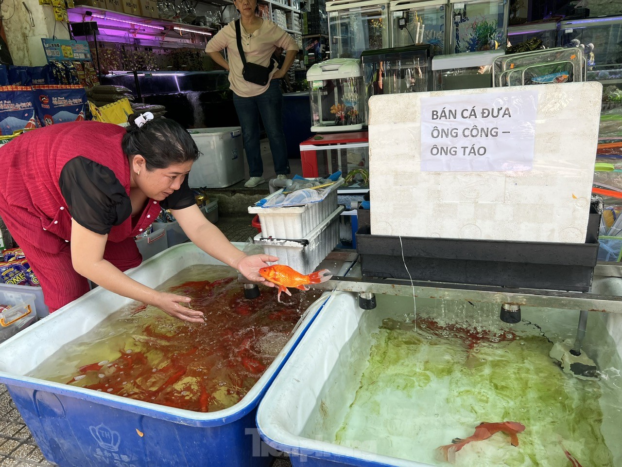 'Phương tiện' đưa ông Táo về trời đắt khách, mua không cần trả giá ảnh 7