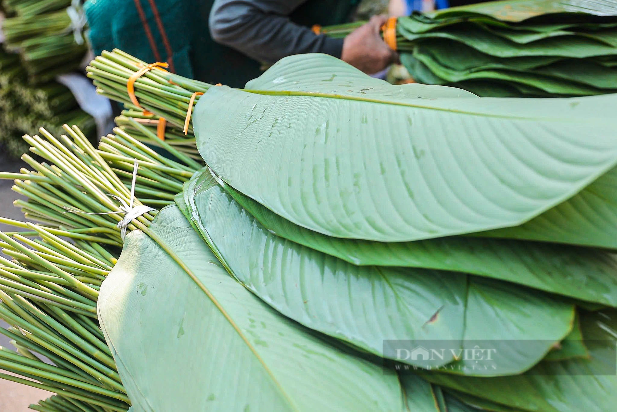 Chợ lá dong lâu đời nhất Hà Nội tấp nập, nhộn nhịp những ngày giáp Tết Nguyên đán 2025- Ảnh 4.