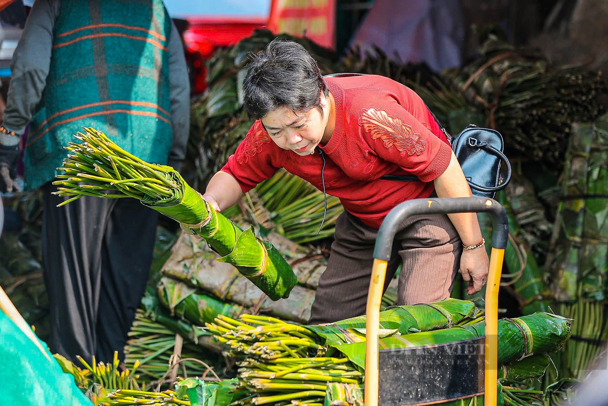 Chợ lá dong lâu đời nhất Hà Nội tấp nập, nhộn nhịp những ngày giáp Tết Nguyên đán 2025- Ảnh 7.