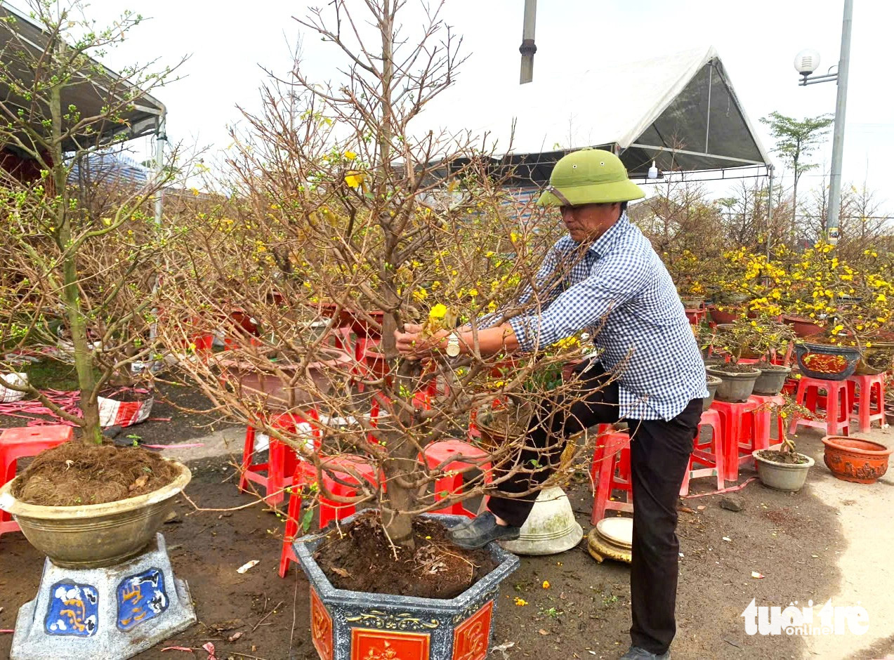 Kiếm tiền triệu mỗi ngày từ nghề ‘chở Tết’ đến mọi nhà - Ảnh 4.