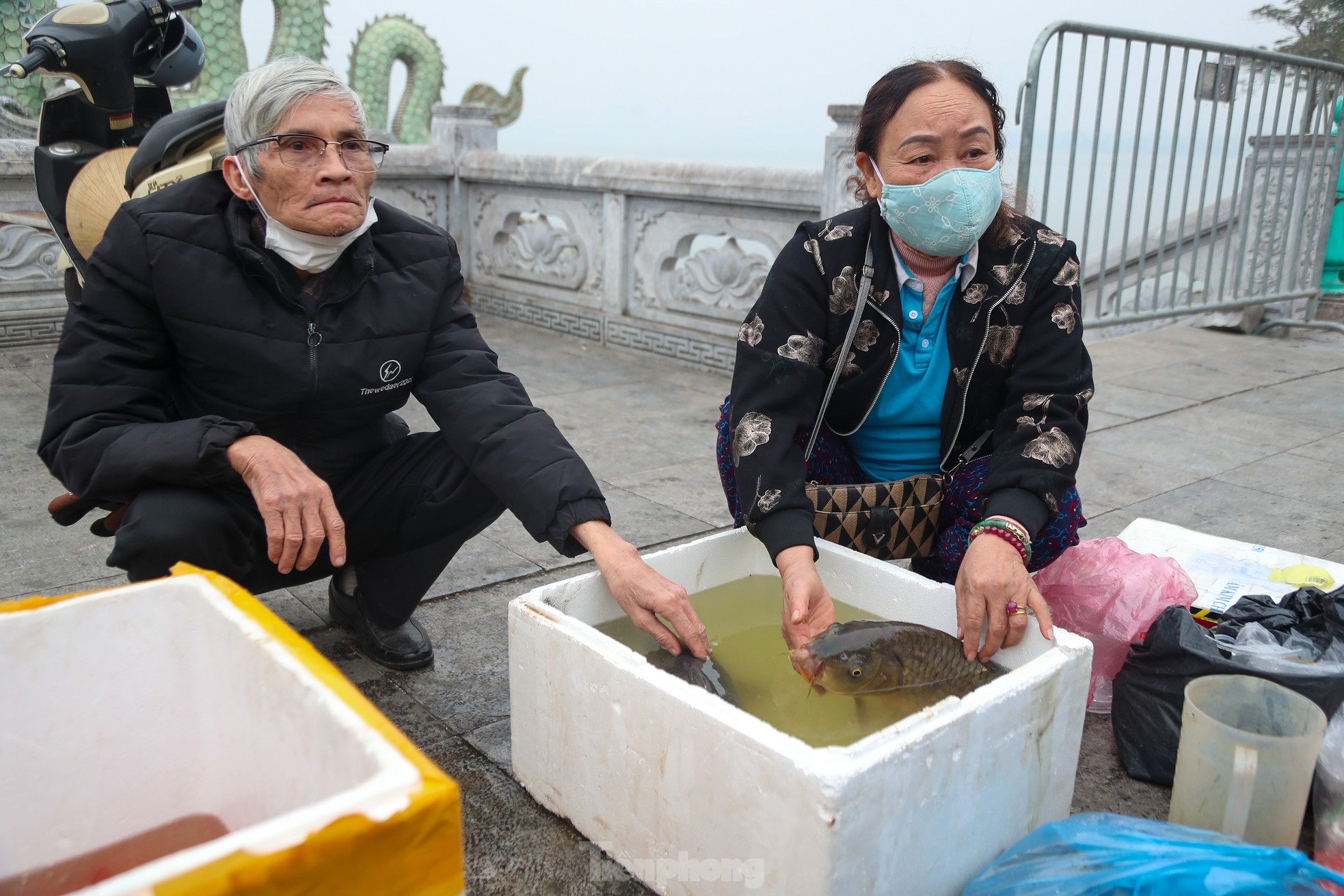 Người Hà Nội thả cá tiễn ông Công ông Táo về trời theo cách văn minh ảnh 3