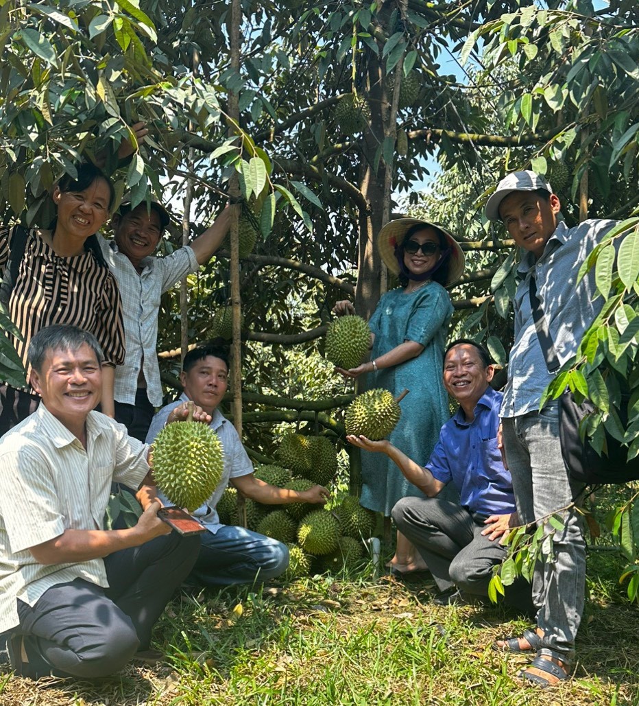 Hội đồng hành hội viên, kinh tế tập thể “nở rộ” - Ảnh 2.