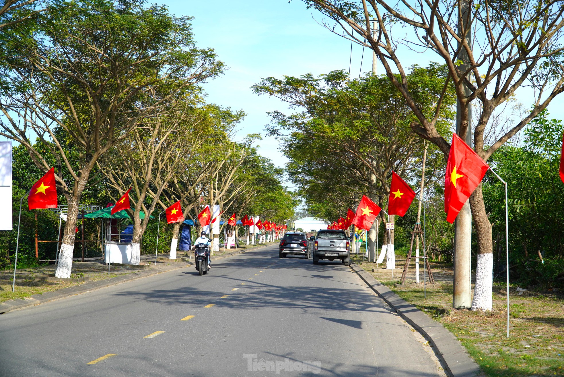 Người dân Đà Nẵng góp tiền làm những con đường rực sắc Tết ảnh 10