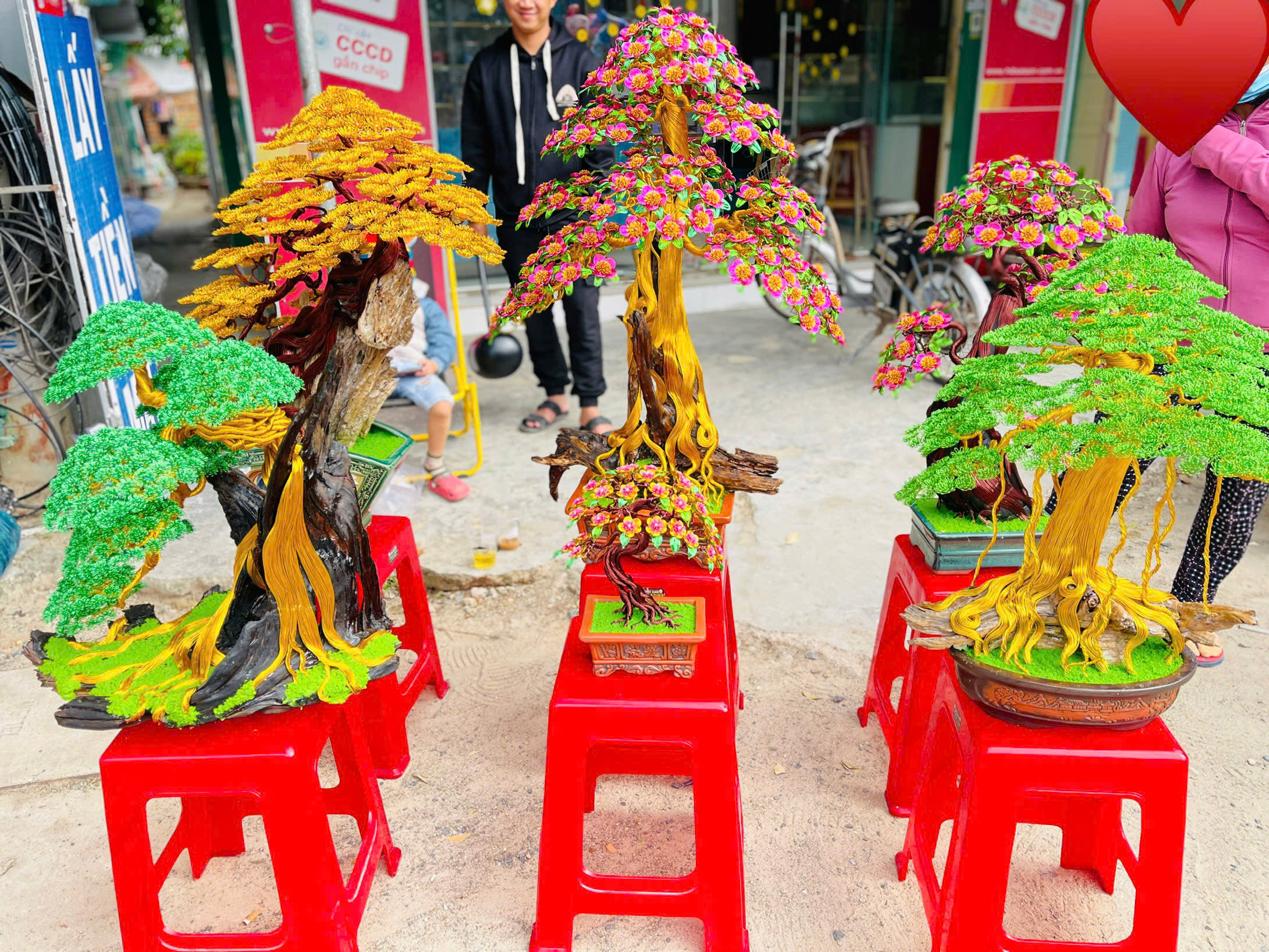 Bon sai kiểu độc lạ ở Khánh Hòa thu hút khách dịp Tết - Ảnh 6.