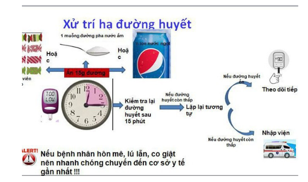 Phòng hạ đường huyết cho người đái tháo đường trong ngày Tết- Ảnh 4.