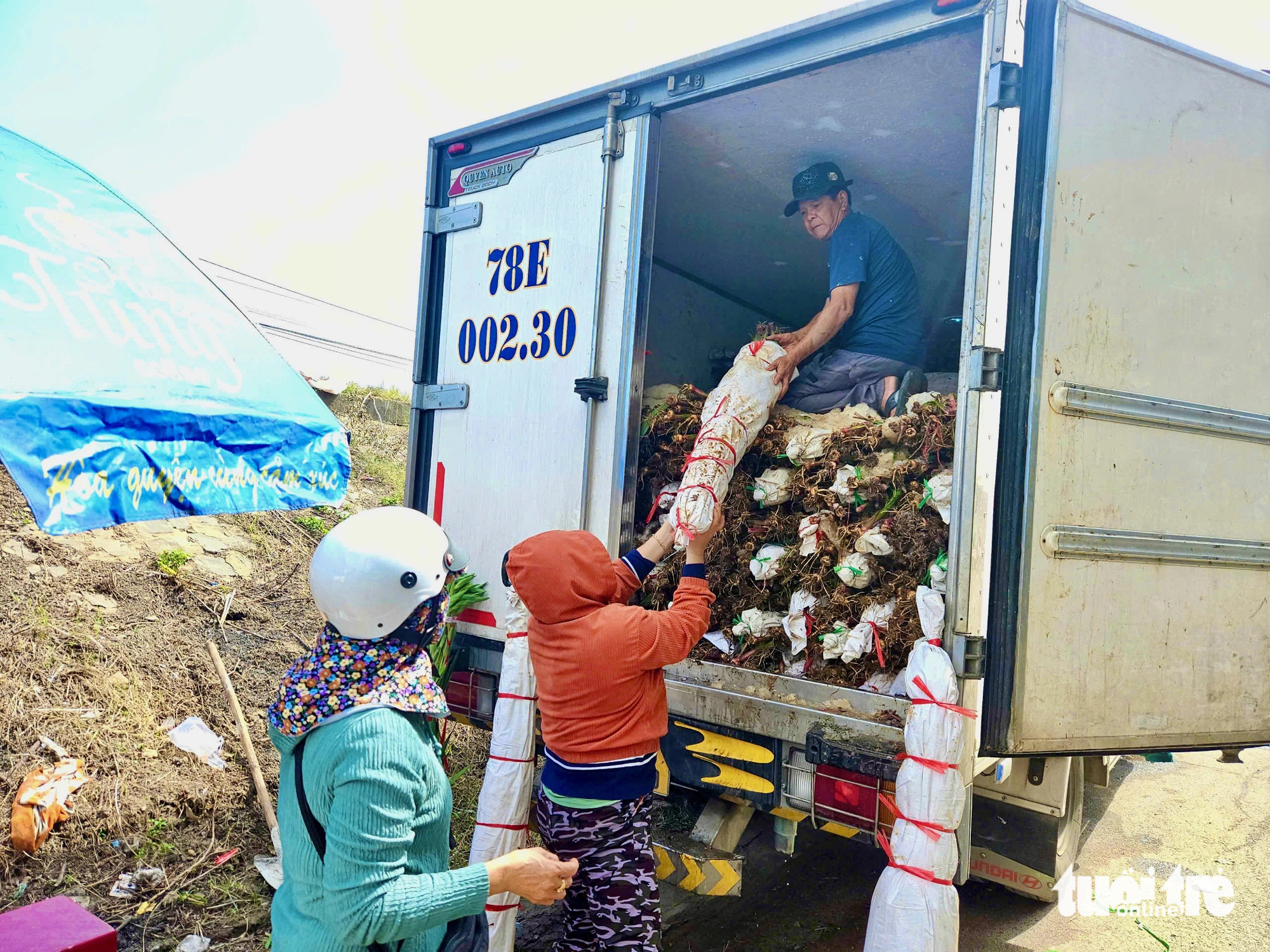 Hoa lay ơn Phú Yên nở chậm, phải nhập hoa Đà Lạt về bán - Ảnh 3.