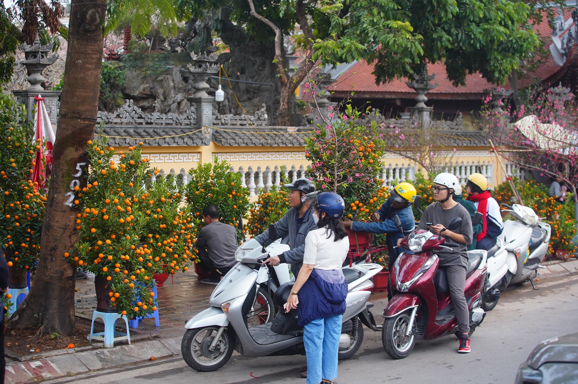 Ngày đầu kỳ nghỉ Tết Nguyên đán, người dân hồ hởi xuống phố 'săn' đào, quất ảnh 12