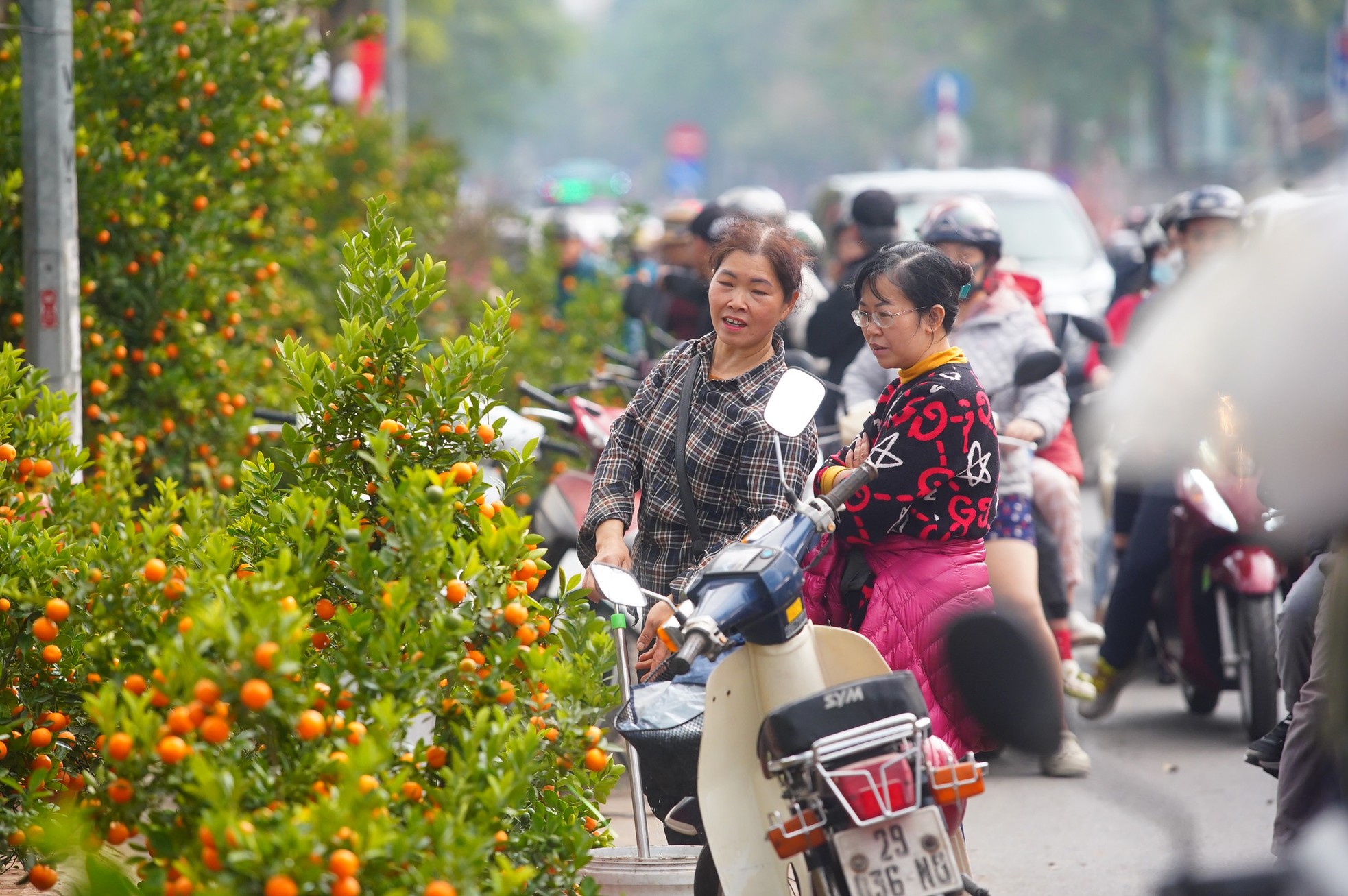 Ngày đầu kỳ nghỉ Tết Nguyên đán, người dân hồ hởi xuống phố 'săn' đào, quất ảnh 16