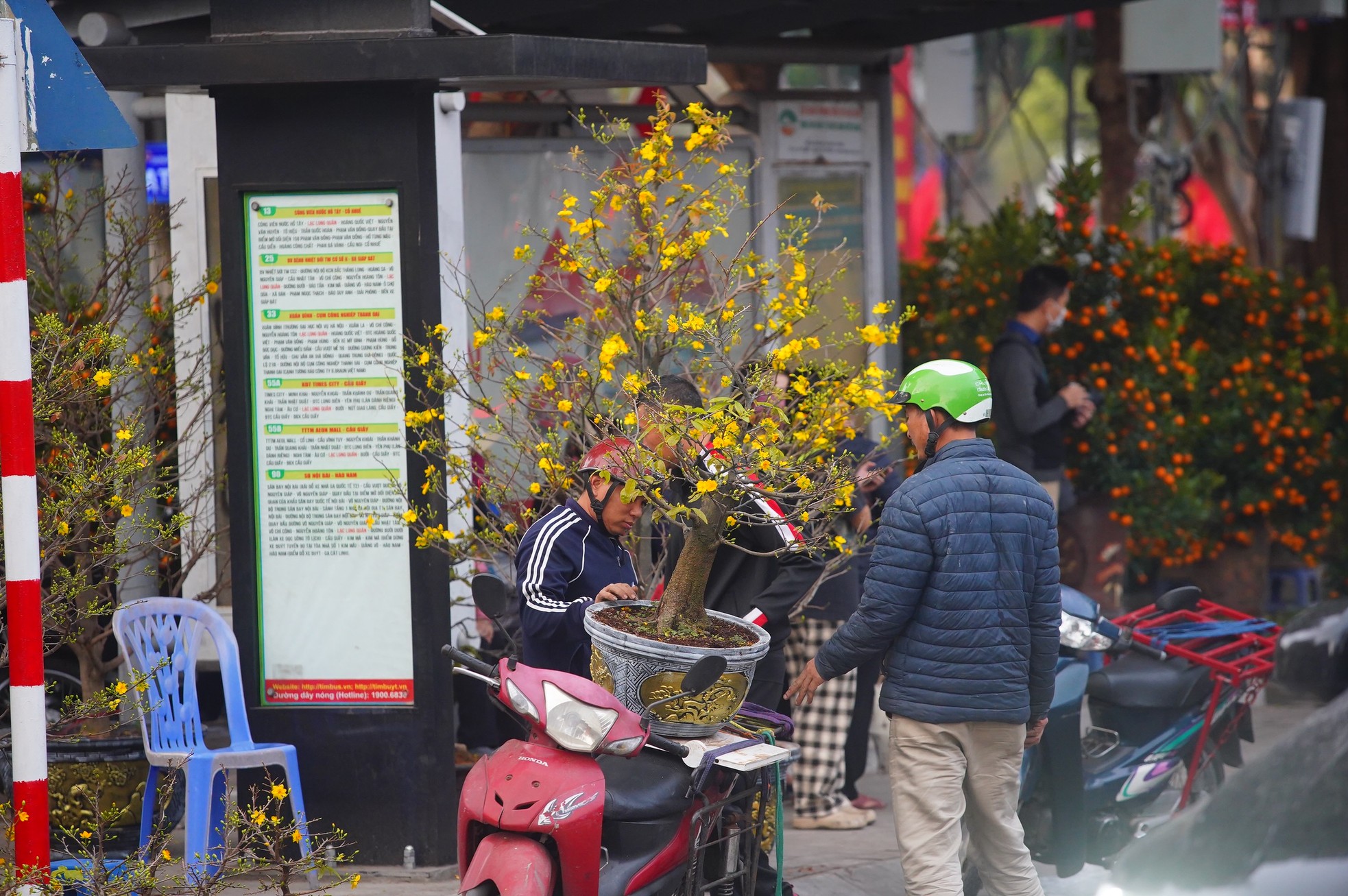 Ngày đầu kỳ nghỉ Tết Nguyên đán, người dân hồ hởi xuống phố 'săn' đào, quất ảnh 17