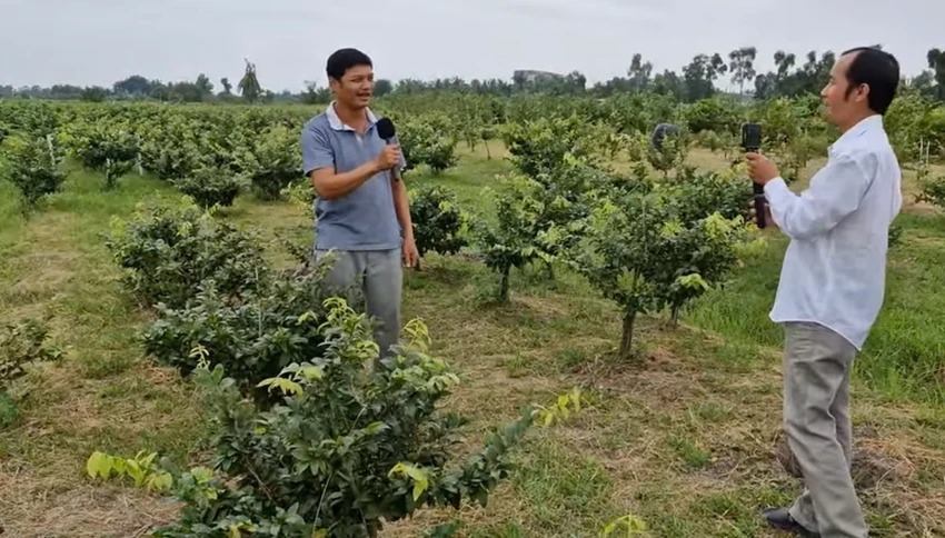 Dân làng triệu phú, làng tỷ phú ở TP HCM bán mai vàng qua hàng online kiểu gì mà chốt đơn tốt?- Ảnh 5.