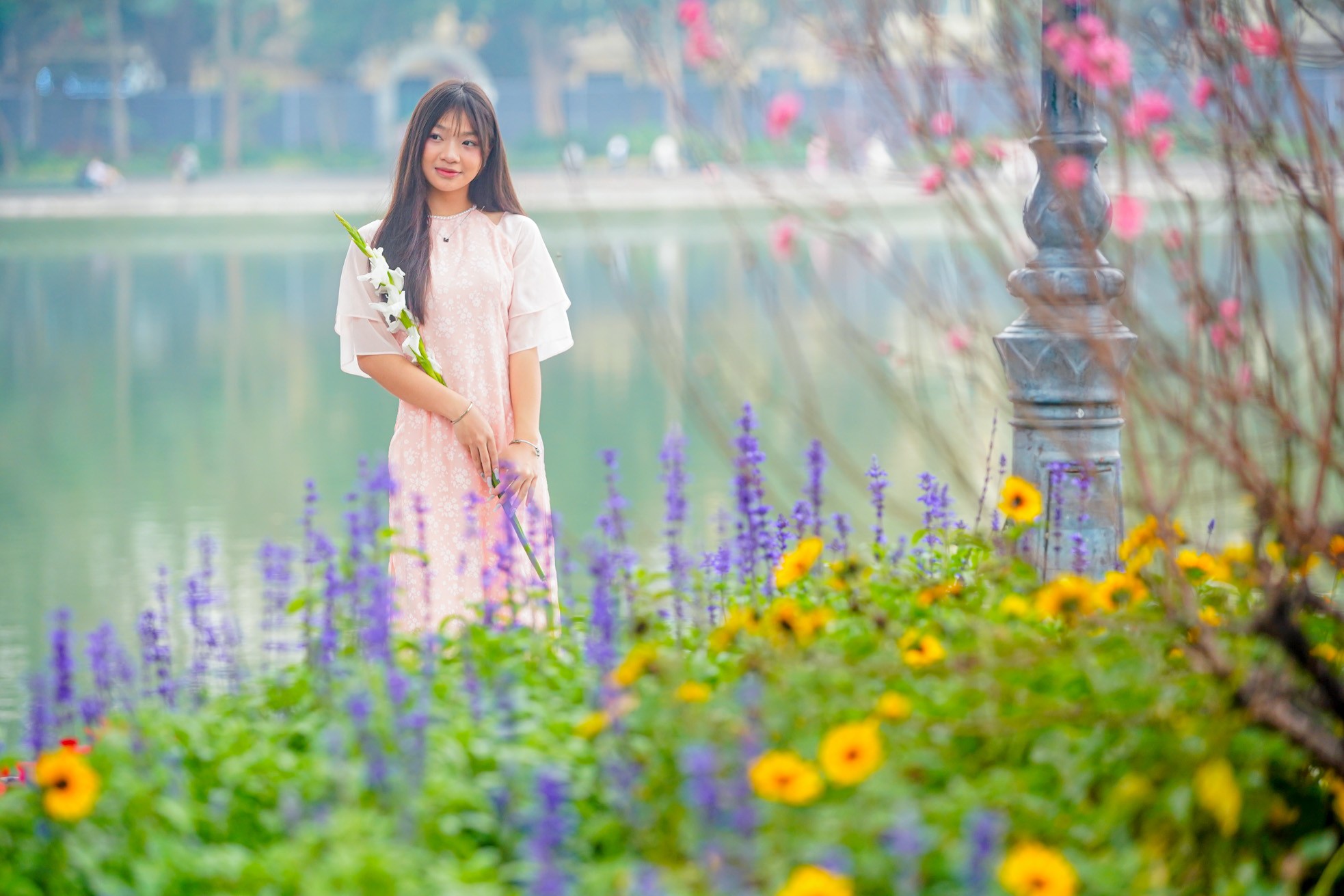 Đào và hoa bung sắc rực rỡ, 'nàng thơ' đua nhau thả dáng quanh hồ Hoàn Kiếm ảnh 11