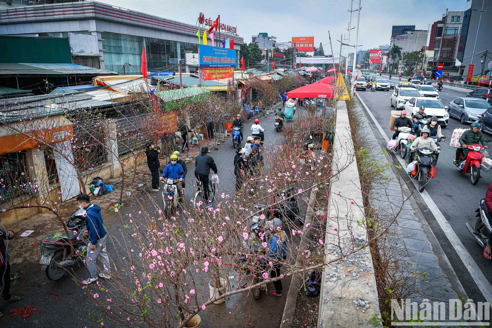 [Ảnh] Chợ hoa xuân Hà Nội nhộn nhịp ngày cận Tết ảnh 2