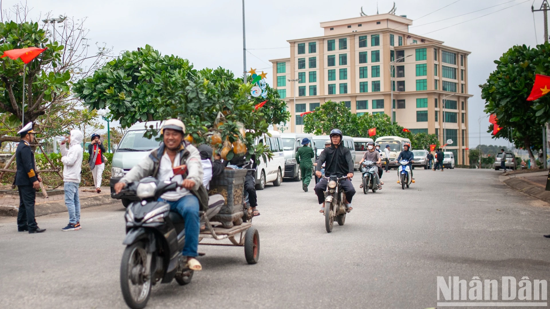 [Ảnh] Vẻ đẹp ngày xuân “vương quốc tỏi” Lý Sơn ảnh 8