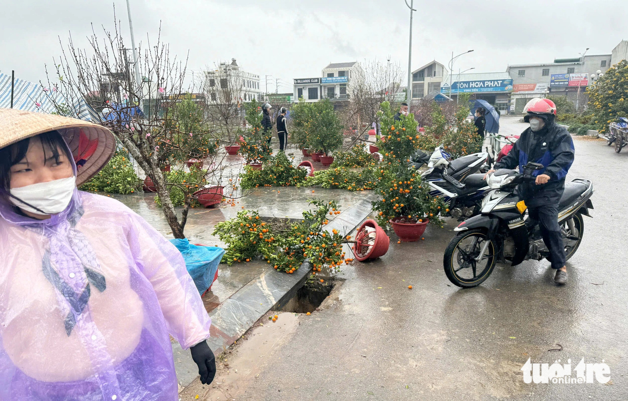 Mưa gió quật tơi tả chợ hoa, tiểu thương lo 'mất Tết' - Ảnh 4.