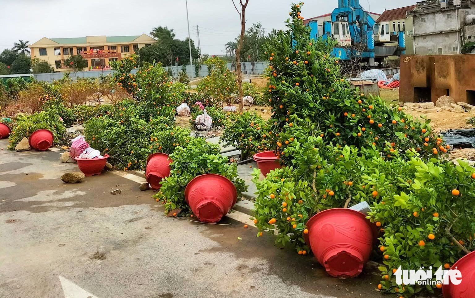 Mưa gió quật tơi tả chợ hoa, tiểu thương lo 'mất Tết' - Ảnh 5.