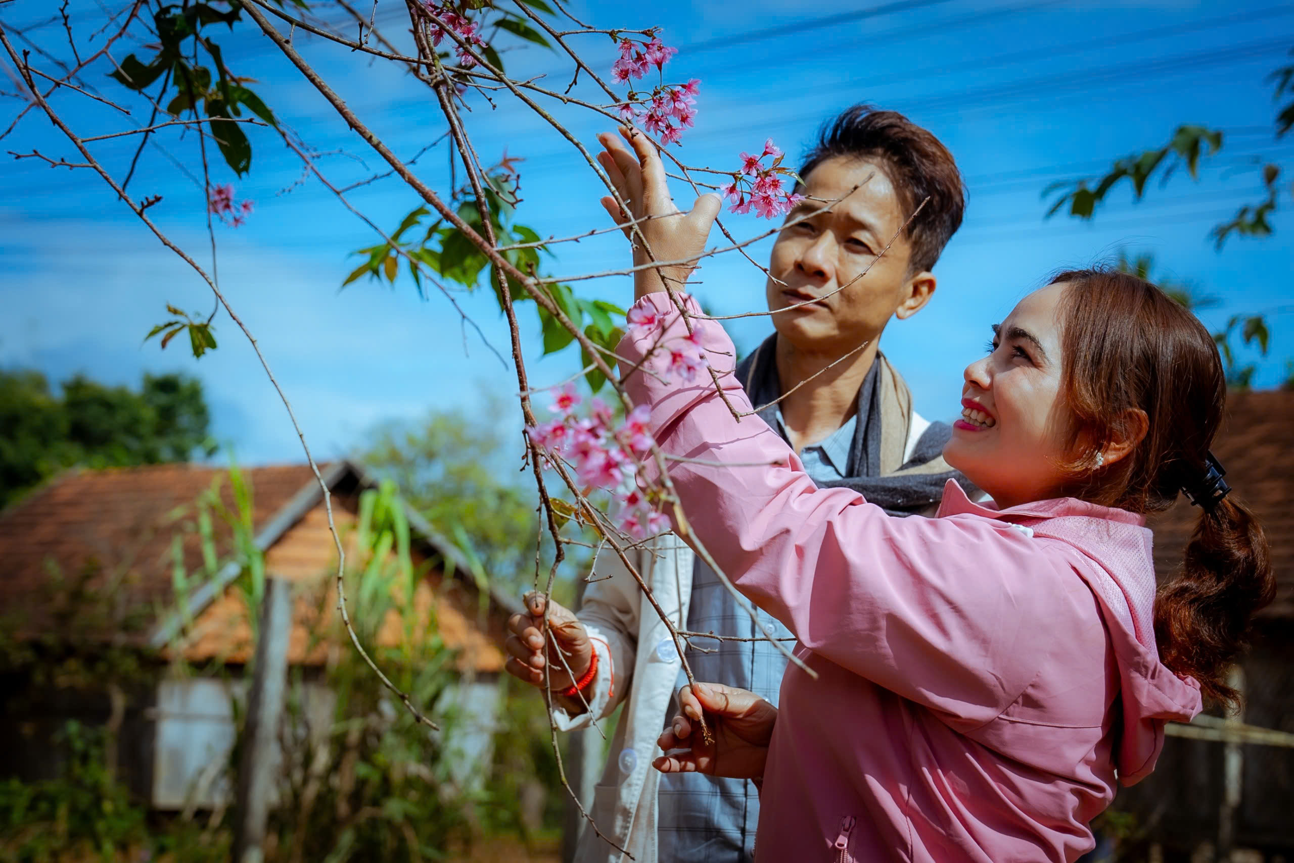 Hoa đào khoe sắc trên núi cao 800 m ở Bình Định- Ảnh 3. Hoa đào khoe sắc trên núi cao 800 m ở Bình Định- Ảnh 3.