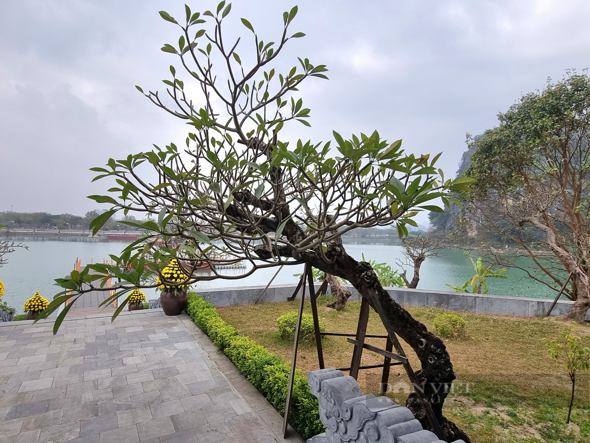 Cận cảnh ngôi chùa dát vàng độc đáo ở Ninh Bình - Ảnh 8.