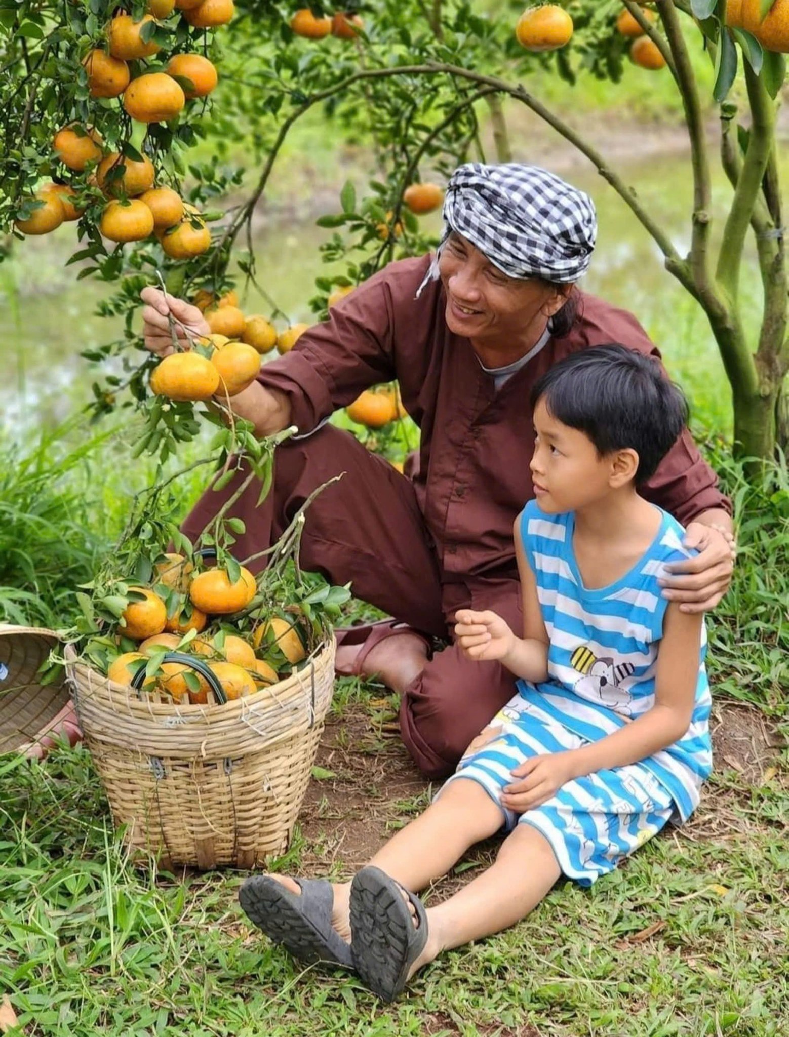 Nhà vườn trồng quýt hồng Lai Vung rộn ràng đón khách dịp Tết- Ảnh 8.